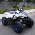 QUAD EXPLORER 110cc 4T CON RETROMARCIA