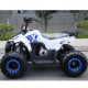 QUAD EXPLORER 110cc 4T CON RETROMARCIA