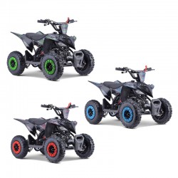 MINIQUAD RAPTOR 50cc 2 TEMPI