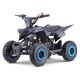 MINIQUAD RAPTOR 50cc 2 TEMPI