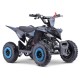 MINIQUAD RAPTOR 50cc 2 TEMPI