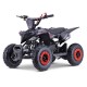 MINIQUAD RAPTOR 50cc 2 TEMPI