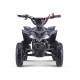 MINIQUAD RAPTOR 50cc 2 TEMPI