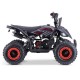 MINIQUAD RAPTOR 50cc 2 TEMPI