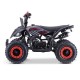MINIQUAD RAPTOR 50cc 2 TEMPI
