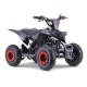 MINIQUAD RAPTOR 50cc 2 TEMPI