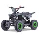 MINIQUAD RAPTOR 50cc 2 TEMPI