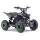 MINIQUAD RAPTOR 50cc 2 TEMPI